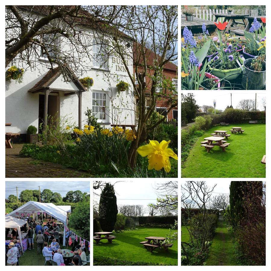 The Furze Bush Inn Newbury  Zewnętrze zdjęcie